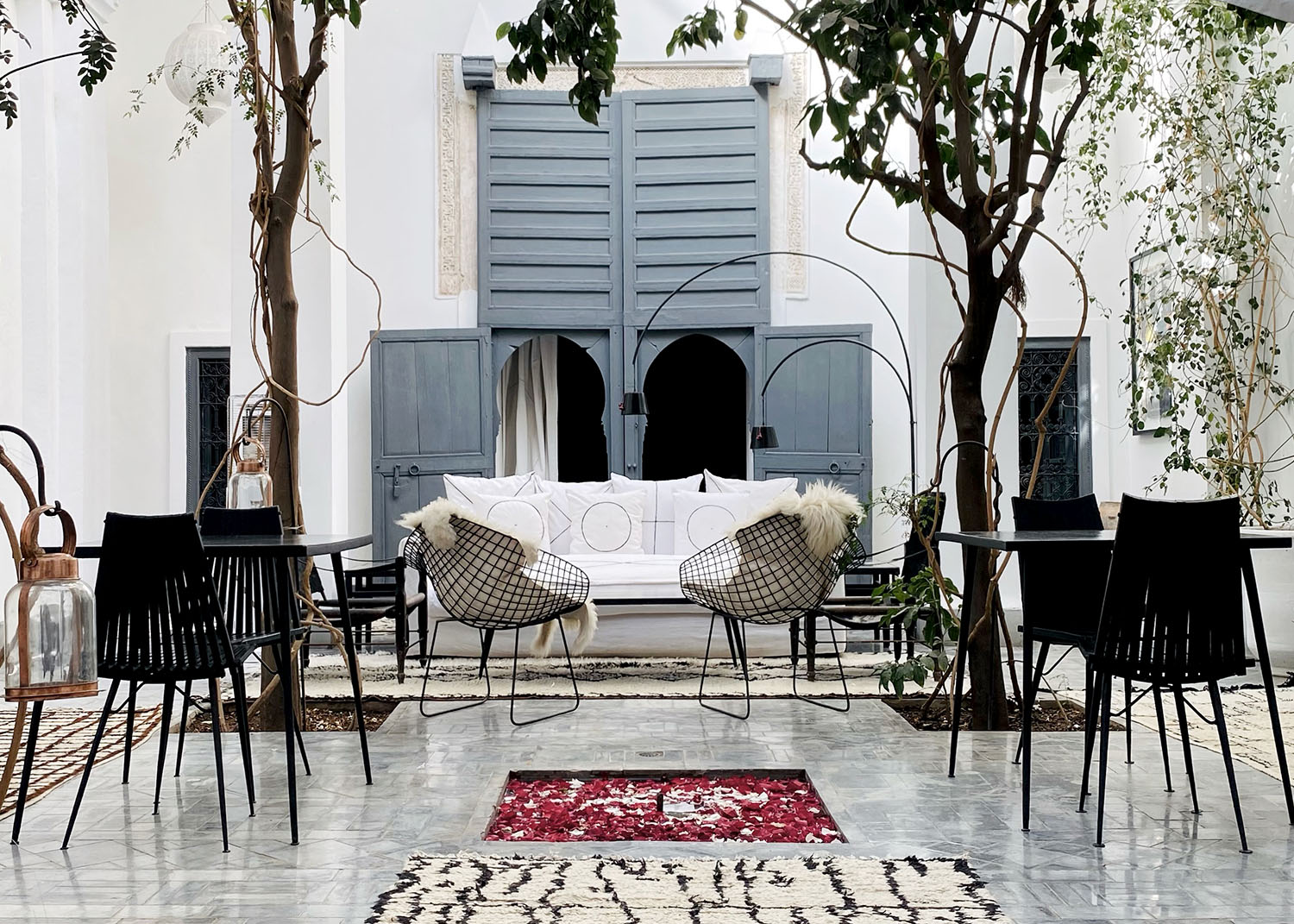 patio dar kawa coussins trees