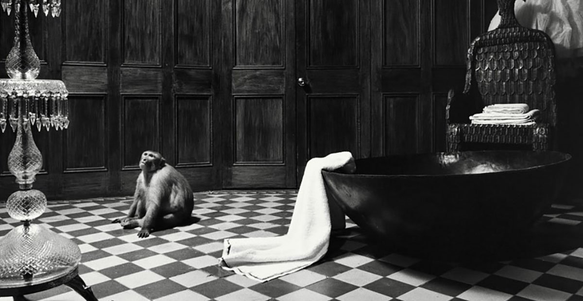 bandit queen steam room collection